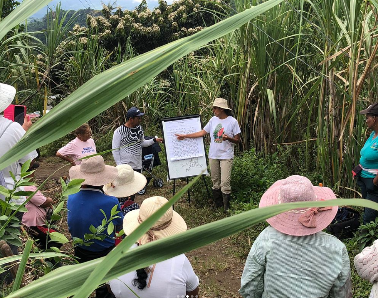 Food Sovereignty Through Regenerative Agriculture: The Mashpi Chocolate Model