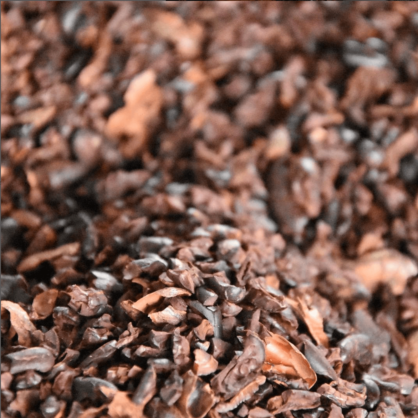 Nibs de Cacao